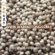 China Supplier plant Perilla seed