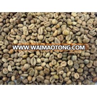 robusta green coffee with high quality