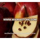 Bulk Supplier of Apple seed